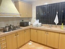 The Springfield (D16), Terrace #630250511